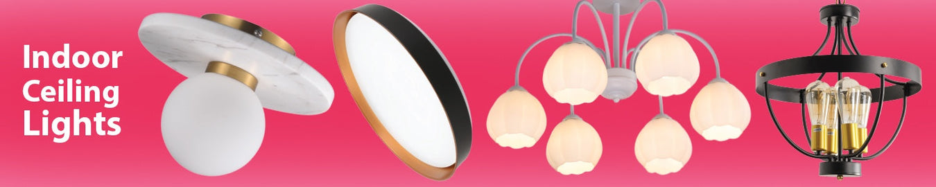 Indoor Ceiling Lights