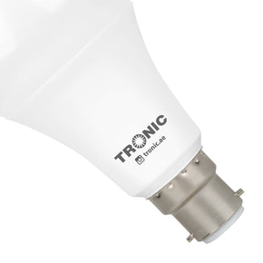 Bulb LED 15 Watts Warm White B22 (Pin)