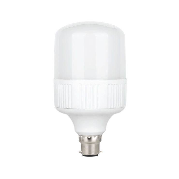 Bulb LED 20 Watts Warm White B22 (Pin)