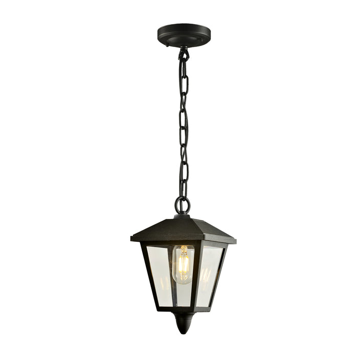 Black Outdoor Hanging Lantern light