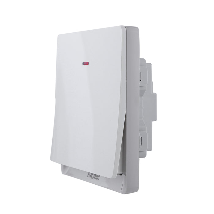 Ivory Double Pole Switch