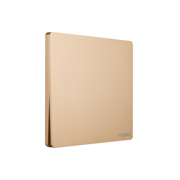 Gold - Intermediate Switch 1 Gang