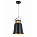Black Modern Industrial Pendant - Tronic Kenya 